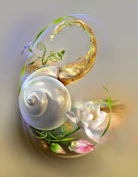 Snail Mucin Beauty Serum