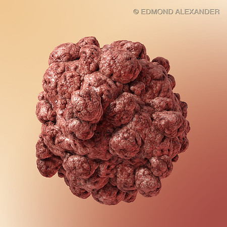 Cancer Cells