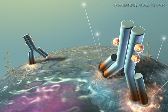 Monoclonal Antibody Touchdown