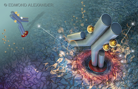 Monoclonal Antibody Attack