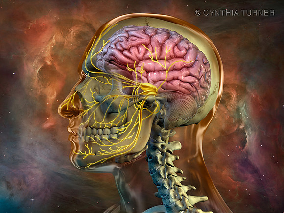 Trigeminal Neuralgia