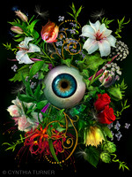 Ophthalmic Sustainability