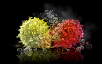 Cancer Assassin: TCell Attacks Cancer Cell