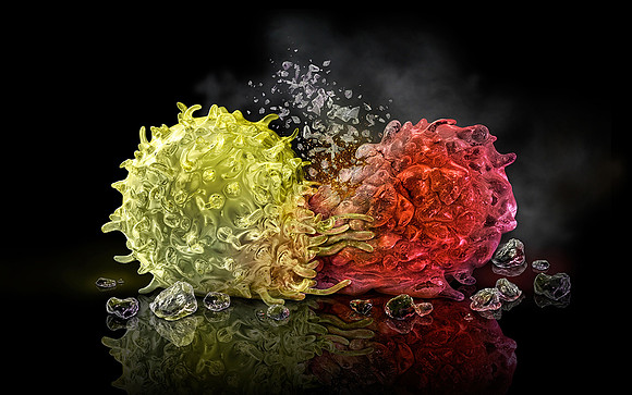 Cancer Assassin: TCell Attacks Cancer Cell