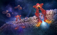 Platelet-stimulating Agent