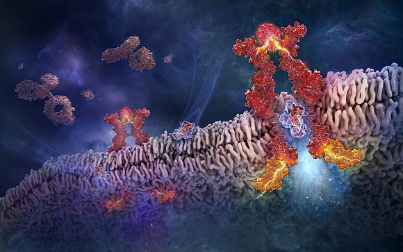 Platelet-stimulating Agent