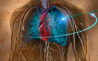RapidArc Lung Cancer Treatment for Peripheral Lung Tumor