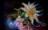 Flora: Gastric Microbiota