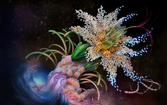 Flora: Gastric Microbiota